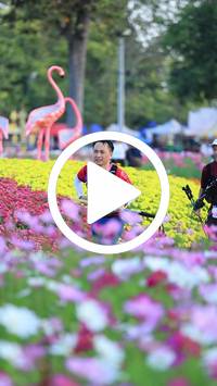 BIB:  <button type="button" onclick="openModal(27583111)" class="btn btn-primary btn-sm float-right" data-toggle="modal" data-target=".modal-high-quality">
                <i class="fa fa-download"></i> Download
                </button>